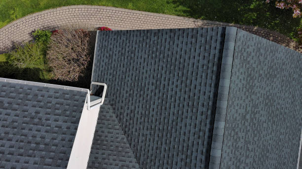 Best Chimney Flashing Repair  in Colon, MI