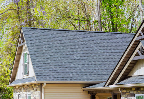 Best Roof Insulation Installation  in Colon, MI