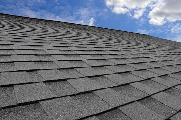 Best Roof Maintenance and Cleaning  in Colon, MI