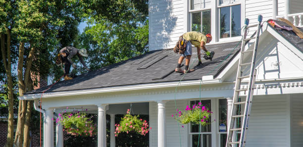 Best Gutter Replacement  in Colon, MI